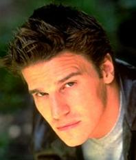 David Boreanaz